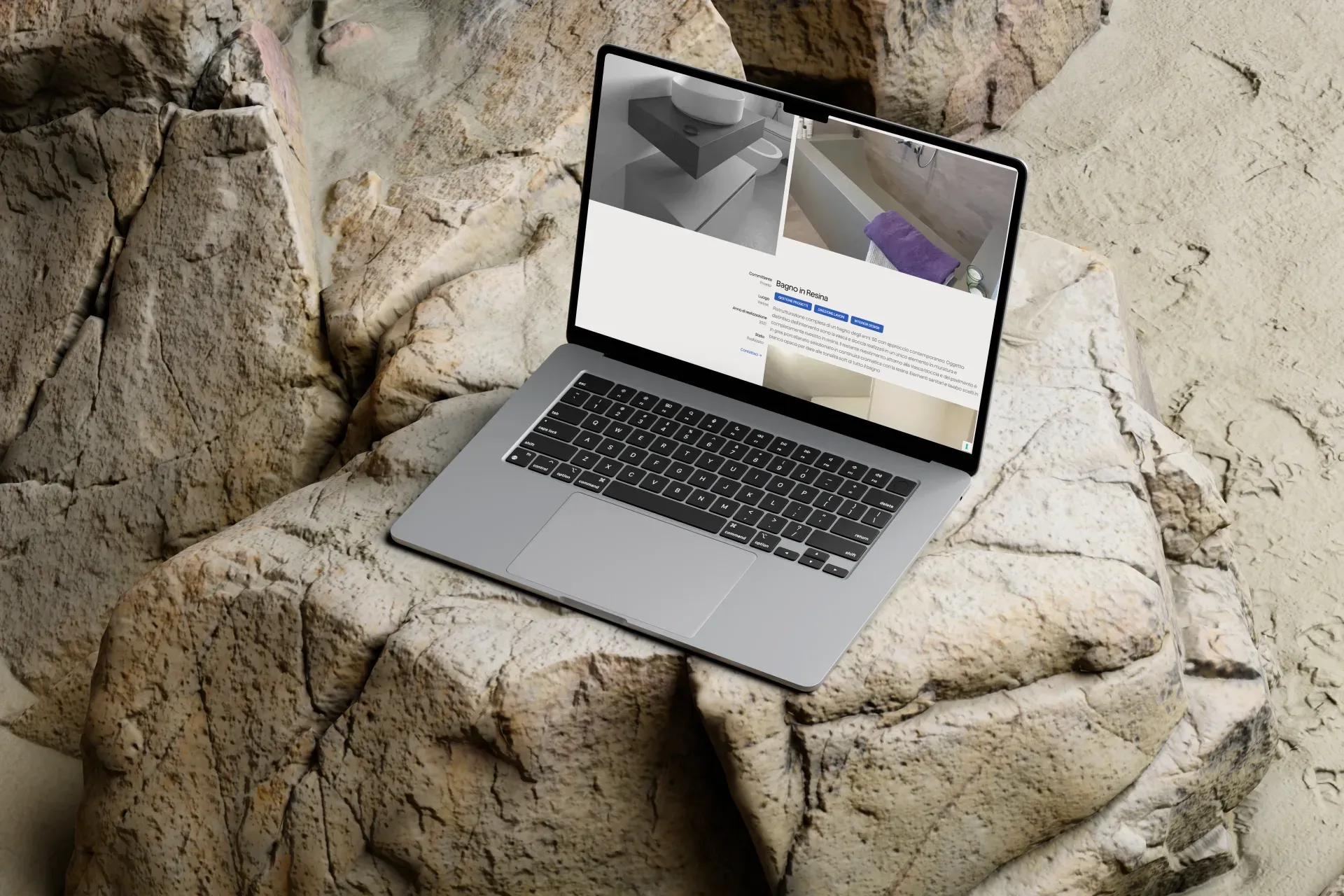 Dream Project Solution, laptop mockup on rock with project detail page and 3D render