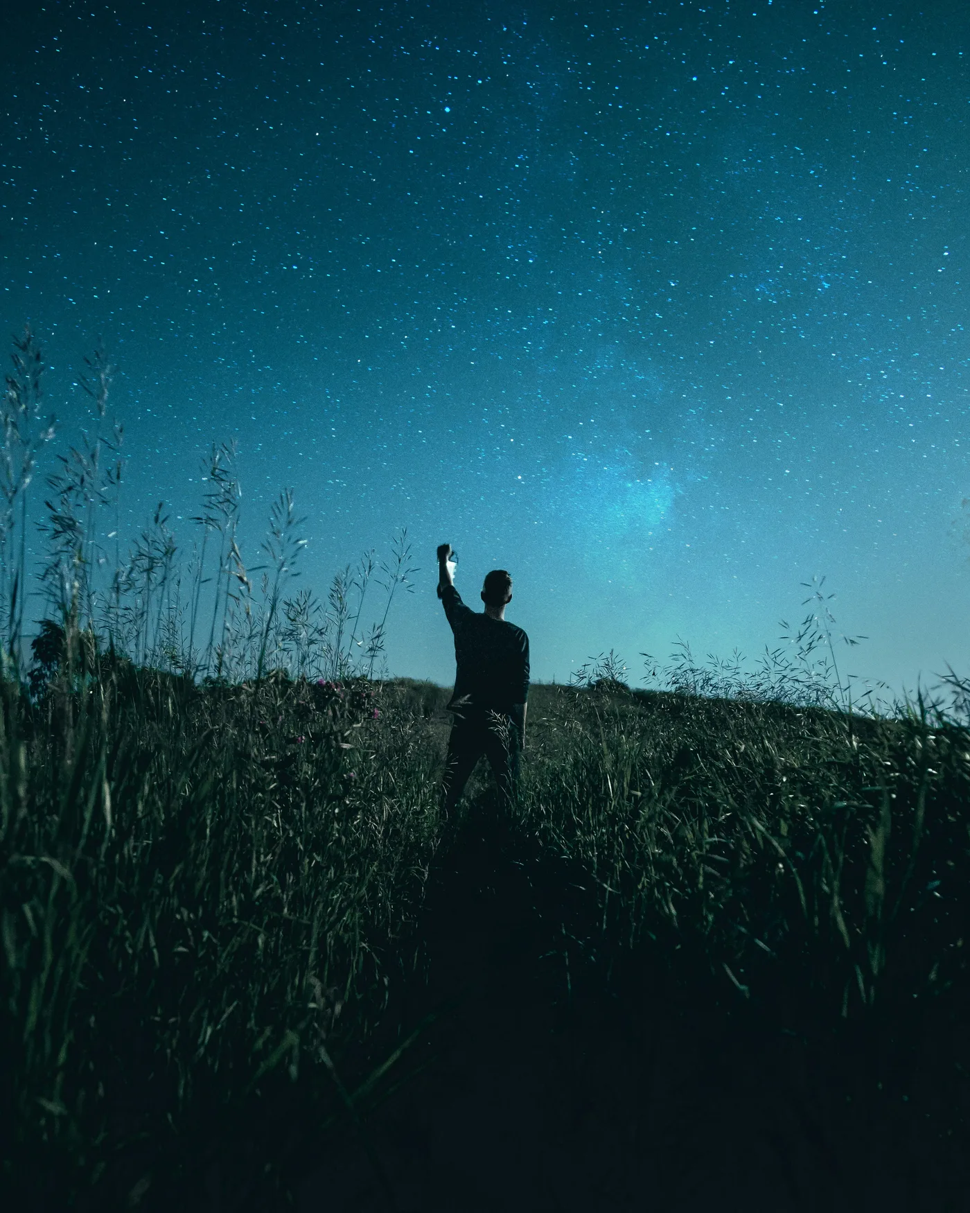 In che modo il marketing rende le imprese vincenti, articolo Journal · Advertising