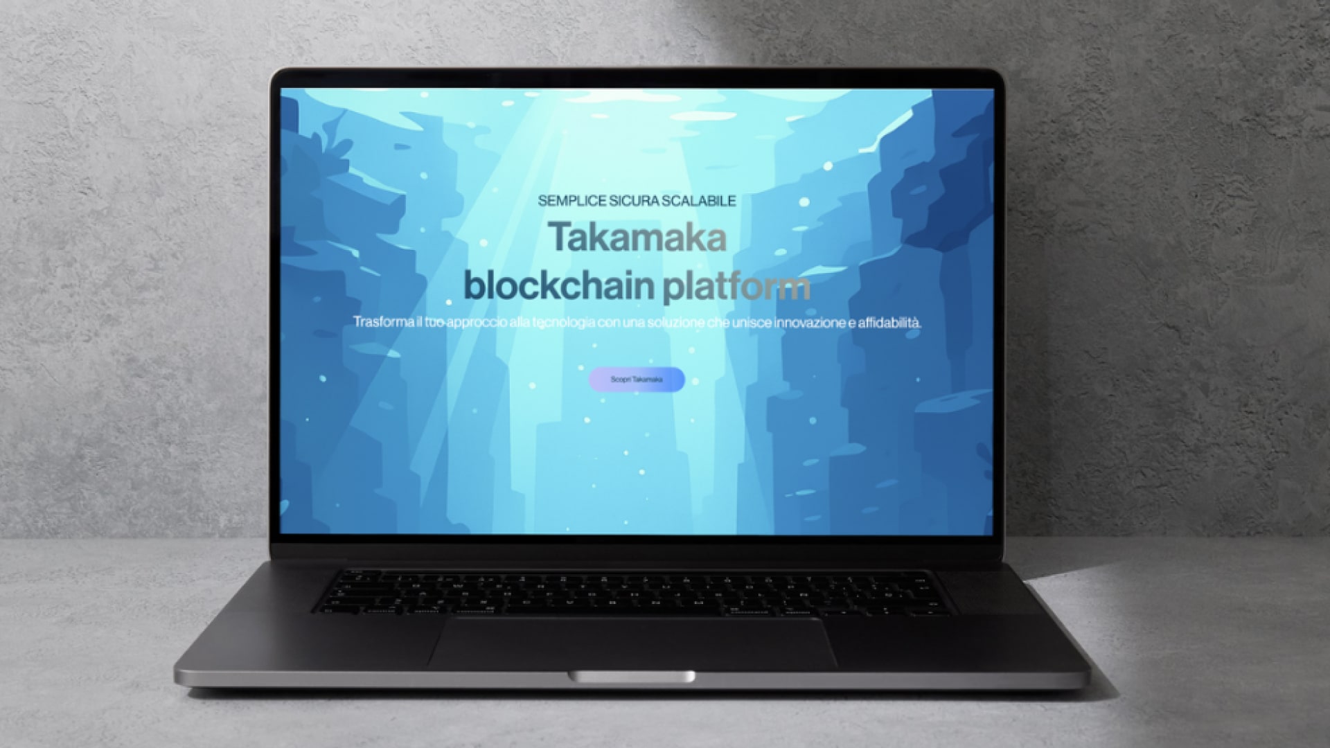 Takamaka, institutional section of the enterprise website